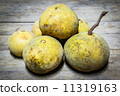 Santol fruit 11319163