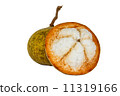 Santol fruit 11319166
