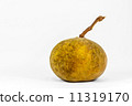 Santol fruit 11319170