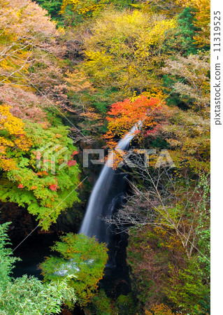 秋季不動的瀑布 11319525