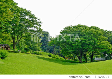 Sendai City Wildflower Garden (Taihaku Ward, Sendai City) 11320227