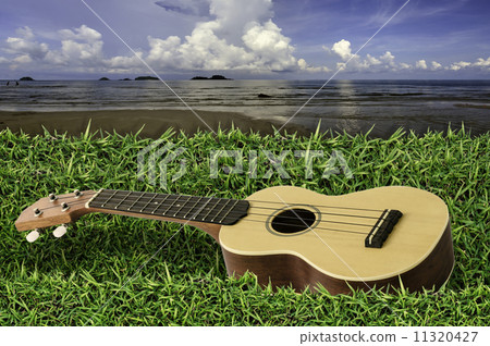 Ukulele on fresh green grass with blue sky and sea Ukulele on fresh green grass with blue sky and sea 11320427