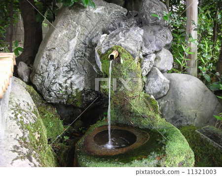 Wakiii神殿（蜂蜜） 11321003