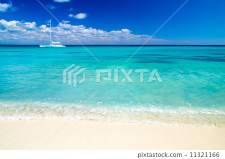 tropical sea tropical sea 11321166