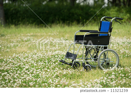 Fresh green care image Fresh green care image 11321239