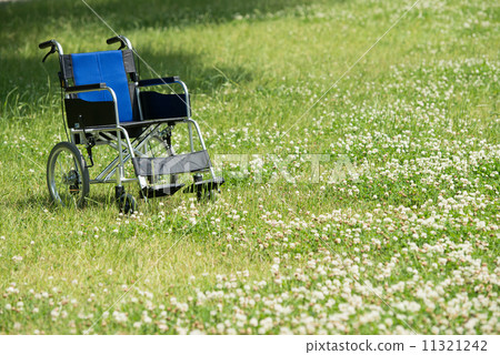 Fresh green care image Fresh green care image 11321242