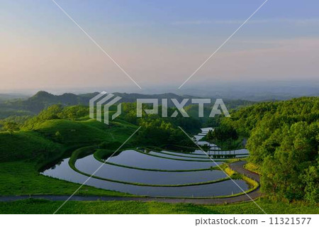 Tanada水稻梯田 11321577