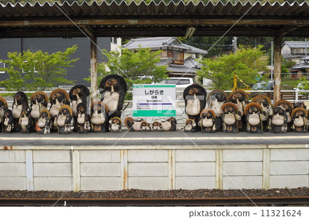 Raccoon dogs lined up at Shigaraki station home Raccoon dogs lined up at Shigaraki station home 11321624