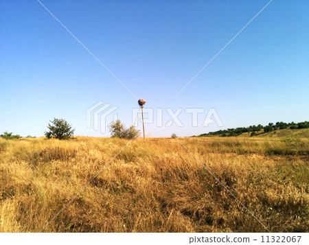 Stork nest on the nature 11322067