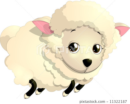 sheep 11322187