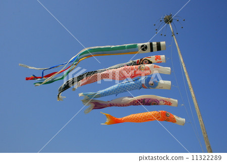 Carp streamer Carp streamer 11322289