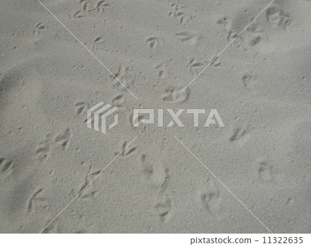 Bird's footprint 11322635