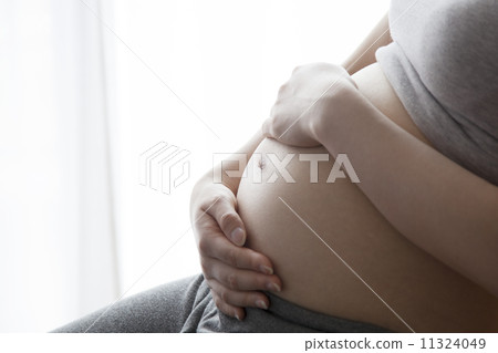 孕婦的胃 孕婦的胃 11324049