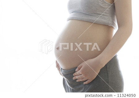 孕婦的胃 孕婦的胃 11324050