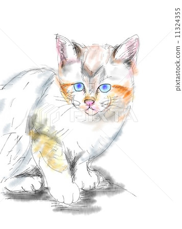 Cat's illustration Cat's illustration 11324355
