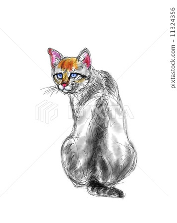 貓的插圖 貓的插圖 11324356