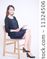 Young Female Executive 11324506