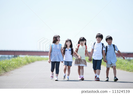 Elementary school student image Elementary school student image 11324539