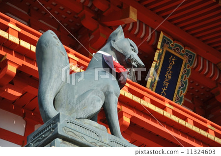 Kyoto Fushimi Inari Taisha Kyoto Fushimi Inari Taisha 11324603