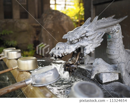 Water dragon dragon 11324654
