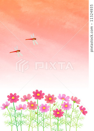 日落天空和紅色蜻蜓 11324935