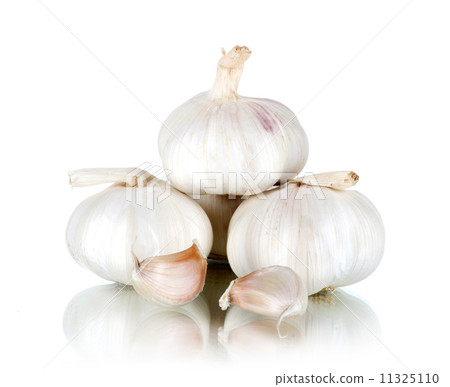 Garlic 11325110