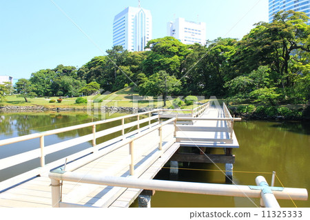 Hamarikyu Garden 11325333