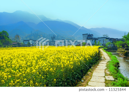 Rural landscape in wuyuan county, jiangxi province, china. 11325844