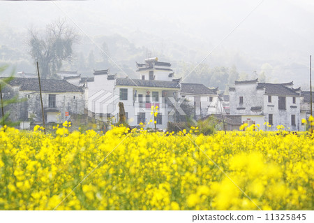 China country side 11325845