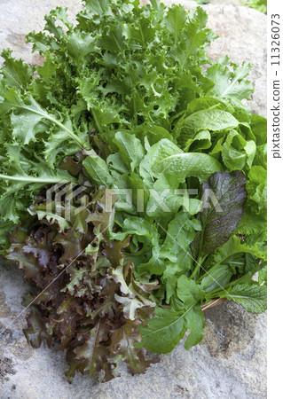 Leafy vegetables 11326073