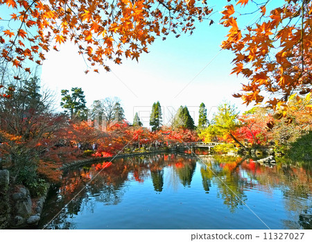 反映秋葉的Eiken-do Pond 反映秋葉的Eiken-do Pond 11327027