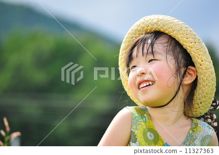 Summer day Summer day 11327363