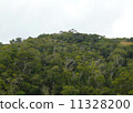 Yanbaru no Mori 11328200