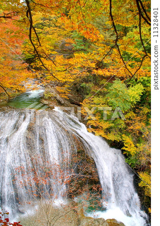 Autumn Sekiyama Otaki (Higashine City, Yamagata Prefecture) Autumn Sekiyama Otaki (Higashine City, Yamagata Prefecture) 11328401