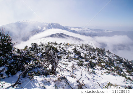 Sea of clouds 11328955