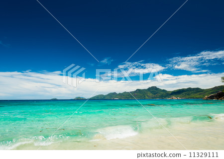 tropical beach tropical beach 11329111