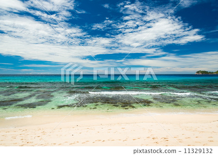 tropical beach 11329132