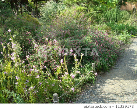 H市盛開的Makujima百花園 H市盛開的Makujima百花園 11329178
