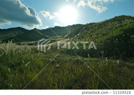 Gleaming hills 11329328