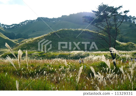 To the plateau 11329331