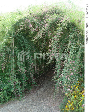 Hagi隧道在Mukojima百花園 11329377