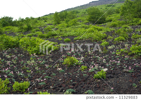 Komakusa社區Iwateyama 11329883