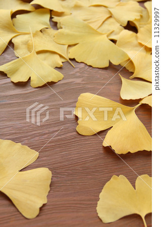 Ginkgo wood grain vertical 2 Ginkgo wood grain vertical 2 11329997