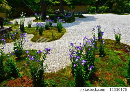 "Genji garden" of Lushan-ji (Kyoto-shi, Kamigyo-ku Teramachi dori Hirokoji Higokurinosan-cho) 11330176