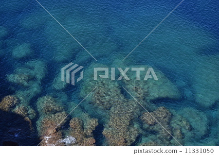 Okinoerabujima Tanabeaki 11331050