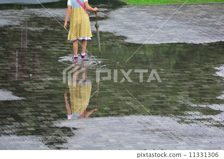 雨園 11331306