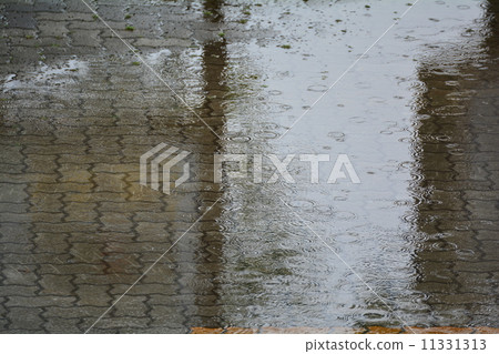 Rain park 11331313