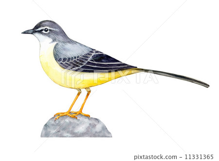 Kisekirei插圖 11331365