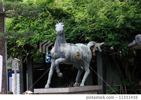 藤森神社的賽馬之神 藤森神社的賽馬之神 11331438