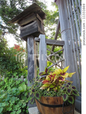 Flowers and old post 11331669